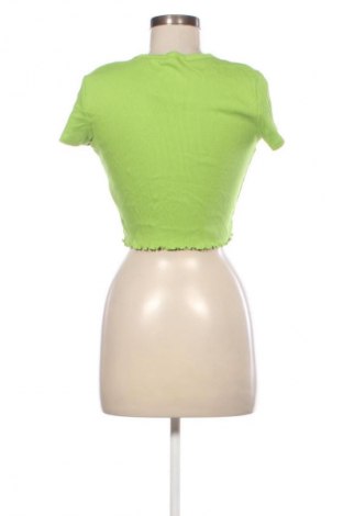 Damen Shirt Terranova, Größe L, Farbe Grün, Preis 1,99 €