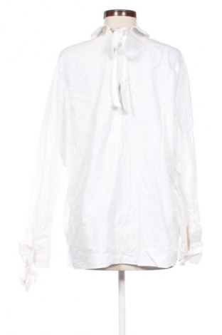 Damen Shirt Zara Trafaluc, Größe L, Farbe Weiß, Preis € 18,99