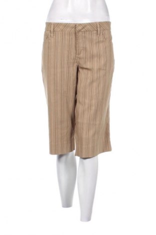 Damen Shorts American Rag, Größe XXL, Farbe Mehrfarbig, Preis 10,99 €