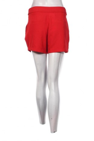 Damskie szorty Amisu, Rozmiar M, Kolor Czerwony, Cena 46,99 zł