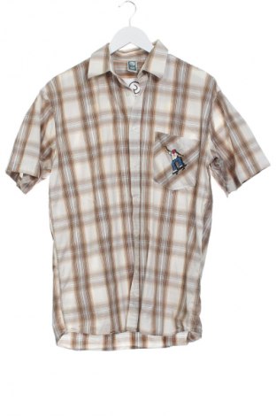 Dziecięca koszula Here+There, Rozmiar 15-18y/ 170-176 cm, Kolor Kolorowy, Cena 6,99 zł