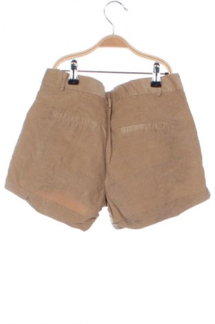 Kinder Shorts Zara Kids, Größe 12-13y/ 158-164 cm, Farbe Beige, Preis 1,99 €