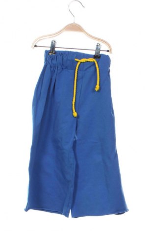 Детски панталон Unbranded, Размер 5-6y/ 116-122 см, Цвят Син, Цена 2,04 €