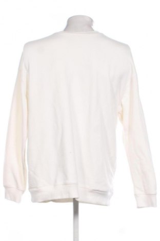 Herren Shirt ASICS, Größe XL, Farbe Ecru, Preis € 83,99