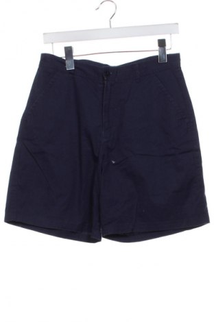 Herren Shorts Hessnatur, Größe S, Farbe Blau, Preis € 4,99