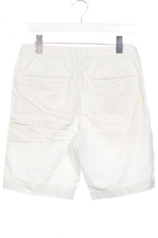 Herren Shorts Hollister, Größe S, Farbe Mehrfarbig, Preis € 7,67