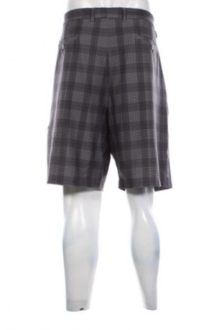 Herren Shorts Pebble Beach, Größe XXL, Farbe Mehrfarbig, Preis € 37,99