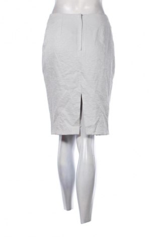 Φούστα Unbranded, Μέγεθος M, Χρώμα Ασημί, Τιμή 1,99 €