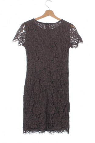 Kleid Esprit, Größe XXS, Farbe Braun, Preis € 6,99