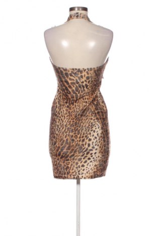 Φόρεμα Jane Norman, Μέγεθος M, Χρώμα Πολύχρωμο, Τιμή 7,99 €