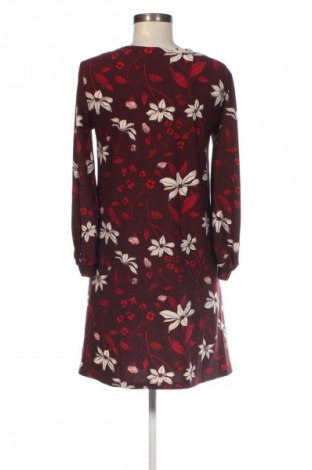 Kleid Mango, Größe M, Farbe Mehrfarbig, Preis 3,99 €