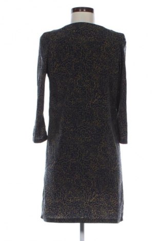 Kleid Mango, Größe S, Farbe Mehrfarbig, Preis 1,99 €