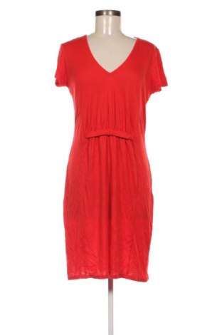 Šaty  Marc Cain, Veľkosť L, Farba Červená, Cena  35,95 €
