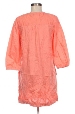 Šaty  Znk, Velikost L, Barva Růžová, Cena  409,00 Kč