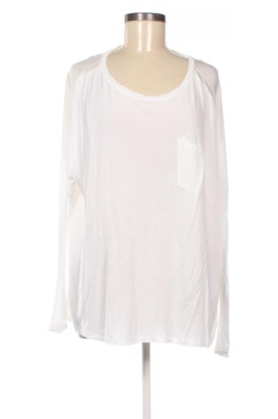 Damen Shirt Comma,, Größe L, Farbe Weiß, Preis 19,00 €, #137170460