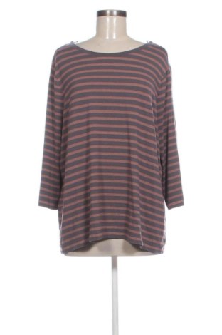 Damen Shirt Betty Barclay, Größe XL, Farbe Mehrfarbig, Preis 18,93 €, #137170366