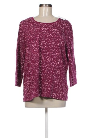 Bluzka damska Adagio, Rozmiar XXL, Kolor Kolorowy, Cena 81,99 zł, #137200859
