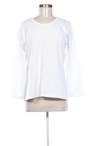 Dámská halenka Fruit Of The Loom, Velikost XXL, Barva Bílá, Cena  146,00 Kč, #137239229