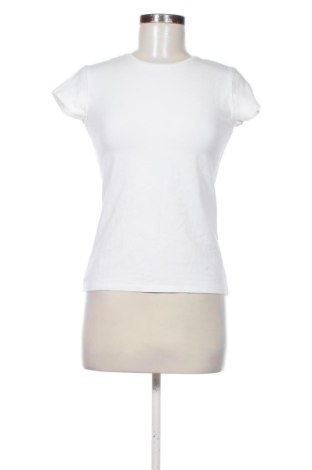 Damen T-Shirt Massimo Dutti, Größe M, Farbe Weiß, Preis € 19,00, #137134311