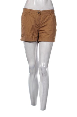 Pantaloni scurți de femei Jbc, Mărime XL, Culoare Maro, Preț 41,99 Lei, #137236720