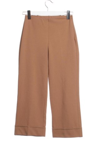 Pantaloni de femei Unbranded, Mărime XS, Culoare Maro, Preț 57,74 Lei, #137127890
