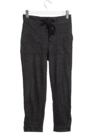 Γυναικείο παντελόνι Massimo Dutti, Μέγεθος XS, Χρώμα Γκρί, Τιμή 28,00 €, #137164837