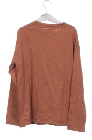 Bluză pentru copii Zara, Mărime 9-10y/ 140-146 cm, Culoare Maro, Preț 36,74 Lei, #136963368
