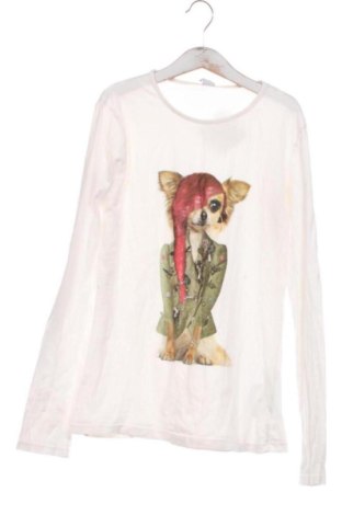 Kinder Shirt Zara, Größe 12-13y/ 158-164 cm, Farbe Weiß, Preis 9,00 €, #137179621