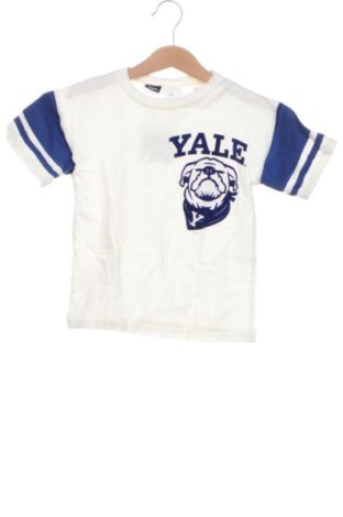 Kinder Shirt Zara, Größe 3-4y/ 104-110 cm, Farbe Ecru, Preis 8,00 €, #137245574