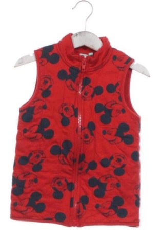 Παιδικό γιλέκο Disney, Μέγεθος 18-24m/ 86-98 εκ., Χρώμα Πολύχρωμο, Τιμή 10,63 €, #137169480