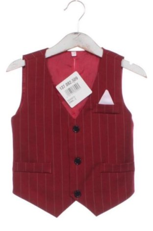 Kinderweste Unbranded, Größe 2-3y/ 98-104 cm, Farbe Mehrfarbig, Preis 7,00 €, #137082509