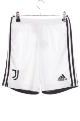 Kinder Shorts Adidas, Größe 11-12y/ 152-158 cm, Farbe Weiß, Preis 16,00 €, #137080209