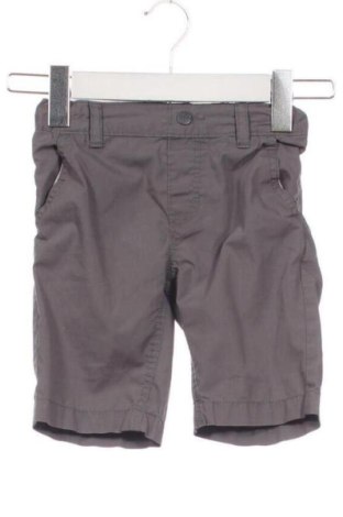 Kinder Shorts Palomino, Größe 2-3m/ 56-62 cm, Farbe Grau, Preis 5,72 €, #137137074
