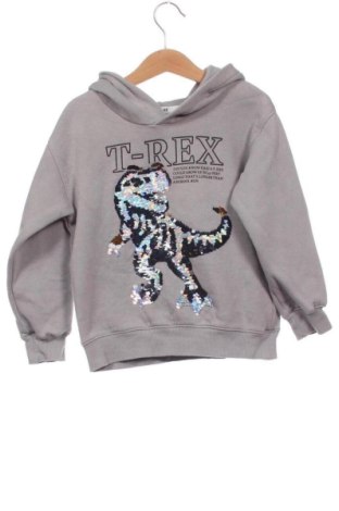 Detská mikina  H&M, Veľkosť 4-5y/ 110-116 cm, Farba Sivá, Cena  15,15 €, #137141770