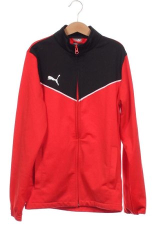 Dziecięca sportowa bluza PUMA, Rozmiar 11-12y/ 152-158 cm, Kolor Czerwony, Cena 66,14 zł, #137152415