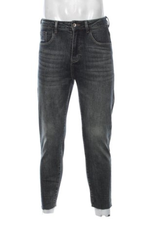 Herren Jeans Unbranded, Größe S, Farbe Grau, Preis 7,43 €, #137208080