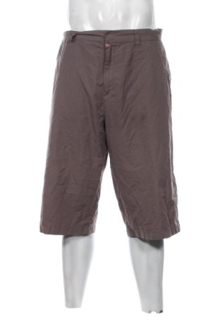 Herren Shorts Quiksilver, Größe L, Farbe Braun, Preis 16,99 €, #137129087