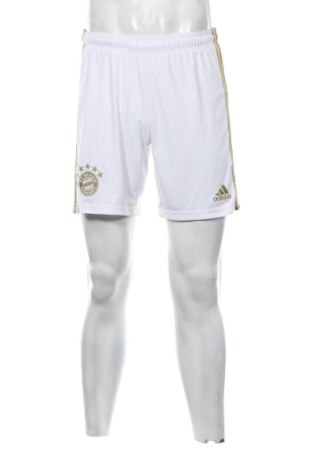 Herren Shorts Adidas, Größe M, Farbe Weiß, Preis 20,99 €, #137158578