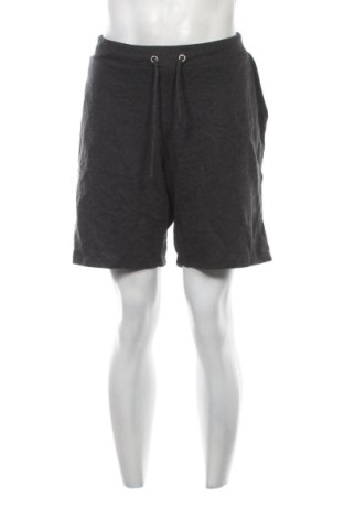 Herren Shorts Unbranded, Größe L, Farbe Grau, Preis 20,99 €, #137160011