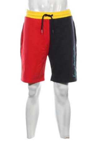 Herren Shorts Unbranded, Größe L, Farbe Mehrfarbig, Preis € 15,99, #137171951