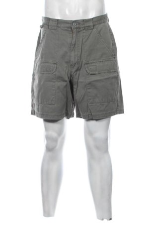 Ανδρικό κοντό παντελόνι Eddie Bauer, Μέγεθος M, Χρώμα Πράσινο, Τιμή 30,31 €, #137216576
