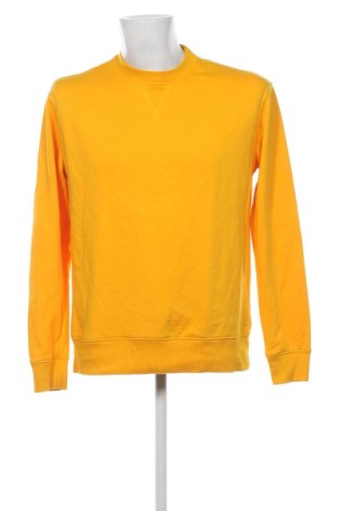 Herrenpullover Unbranded, Größe L, Farbe Gelb, Preis 10,99 €, #137224798