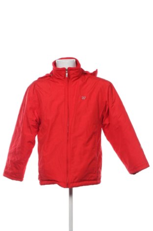 Herrenjacke Gap, Größe L, Farbe Rot, Preis 36,92 €, #137247469