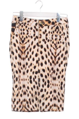 Sukňa Roberto Cavalli, Veľkosť S, Farba Viacfarebná, Cena  73,00 €, #137125561