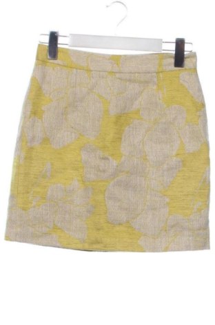 Fustă Zara, Mărime XS, Culoare Multicolor, Preț 54,00 Lei, #137125652