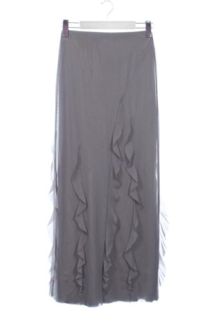 Fustă Zara, Mărime XS, Culoare Gri, Preț 95,99 Lei, #137211064