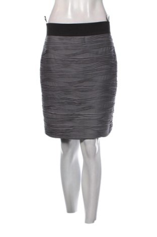 Φούστα H&M, Μέγεθος L, Χρώμα Γκρί, Τιμή 4,99 €, #137215654
