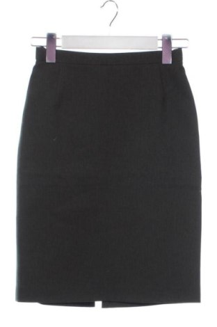 Fustă Daphne, Mărime XXS, Culoare Gri, Preț 47,24 Lei, #137131779