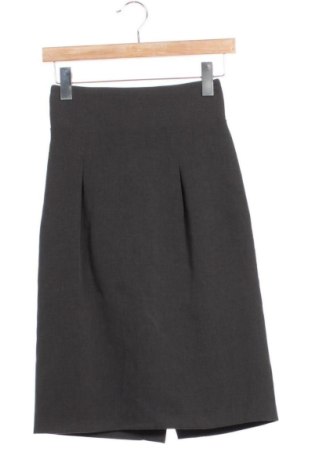 Fustă Cavalli Class, Mărime XS, Culoare Gri, Preț 356,94 Lei, #137161248