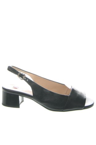 Σανδάλια Hogl, Μέγεθος 36, Χρώμα Μαύρο, Τιμή 64,20 €, #137171148